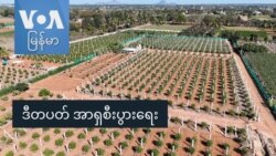 ဒီတပတ် အာရှစီးပွားရေး
 ဒီတပတ် အာရှစီးပွားရေး