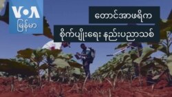 တောင်အာဖရိက စိုက်ပျိုးရေး နည်းပညာသစ် တောင်အာဖရိက စိုက်ပျိုးရေး နည်းပညာသစ်