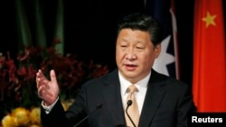 2014年11月19日,中国国家主席习近平在悉尼举行的澳中州和省领导人论坛上发表讲话。