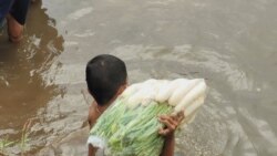 တိုက်ပွဲ ပြင်းထန်လာတဲ့ မြဝတီခရိုင် ဒုက္ခသည် ၇ သောင်းထိတိုး တိုက်ပွဲ ပြင်းထန်လာတဲ့ မြဝတီခရိုင် ဒုက္ခသည် ၇ သောင်းထိတိုး