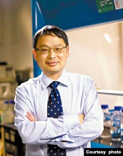 香港大学生物医学学院教授金冬雁 (照片由本人提供)
