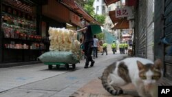 2022年3月22日,在香港的一个户外市场,一名戴着口罩的工人在运送干鱼肚。(美联社)