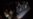16x9 Image