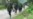 16x9 Image