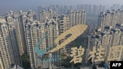 资料照片:中国江苏省镇江市一栋楼房顶部的碧桂园标志,(2021年10月31日)