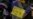 16x9 Image