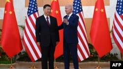 美国总统拜登在印尼巴厘岛出席G20峰会前与中国国家主席习近平举行会晤。(2022年11月14日)
