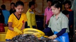 ရွှေ့ပြောင်းလုပ်သားတွေကို ဘယ်သူကူညီနိုင်မလဲ ရွှေ့ပြောင်းလုပ်သားတွေကို ဘယ်သူကူညီနိုင်မလဲ