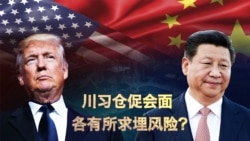 焦点对话:川习仓促会面,各有所求埋风险? 焦点对话:川习仓促会面,各有所求埋风险?