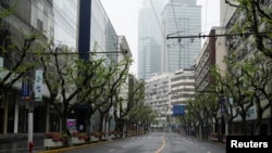 上海封城期间行道树已经长出绿叶。(路透社2022年4月14日)