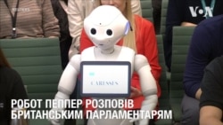 Робот поспілкувався з британськими парламентарями. Відео Робот поспілкувався з британськими парламентарями. Відео