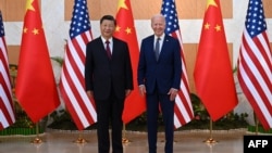 资料照片:美国总统拜登与中国国家主席习近平在印度尼西亚巴厘岛举行会晤。(2022年11月14日)