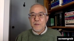 加拿大维多利亚大学政治和历史系教授 吴国光 (采访视频截图)