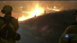 У Каліфорнії палають найбільші в історії штату лісові пожежі. Відео У Каліфорнії палають найбільші в історії штату лісові пожежі. Відео