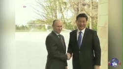 普京访华求支持 中国左右为难 普京访华求支持 中国左右为难