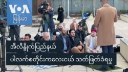 အီလီနွိုက်ပြည်နယ် ပါလက်စတိုင်းကလေးငယ် သတ်ဖြတ်ခံရမှု အီလီနွိုက်ပြည်နယ် ပါလက်စတိုင်းကလေးငယ် သတ်ဖြတ်ခံရမှု