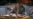 16x9 Image
