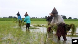 လယ်ယာမြေ သိမ်းဆည်းခံရတဲ့ ပြဿနာတွေဟာ ကြီးထွားလာနေတာပါ။