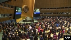 资料照片:联合国妇女地位委员会召开第63届会议(2019年3月11日)