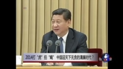 时事大家谈:2014打“虎”拍“蝇”,中国迎天下无贪的清廉时代? 时事大家谈:2014打“虎”拍“蝇”,中国迎天下无贪的清廉时代?