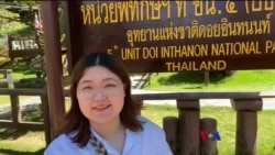 ဒွိုင်အင်သနွန်တောင်နဲ့ တိမ်တိုက်သစ်တော  ဒွိုင်အင်သနွန်တောင်နဲ့ တိမ်တိုက်သစ်တော