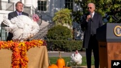 El presidente Joe Biden, acompañado por Ronald Parker, presidente de la Federación Nacional del Pavo, (izq.), habla junto a Chocolate, el pavo nacional de Acción de Gracias, durante una ceremonia de indulto en la Casa Blanca en Washington, el lunes 21 de