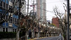 与北京角力 上海抗疫恐成“零容忍”政策破口? 与北京角力 上海抗疫恐成“零容忍”政策破口?