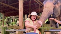 နော်သဇင် Vlog (မဲ့ဆာ ဆင်စခန်း)  နော်သဇင် Vlog (မဲ့ဆာ ဆင်စခန်း)