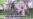 16x9 Image