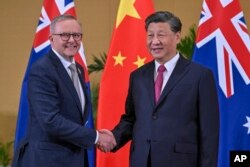中国领导人习近平与澳大利亚总理阿尔巴尼斯在巴厘岛出席G20峰会期间举行会晤。(2022年11月15日)
