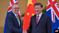 中国领导人习近平与澳大利亚总理阿尔巴尼斯在巴厘岛出席G20峰会期间举行会晤。(2022年11月15日)
