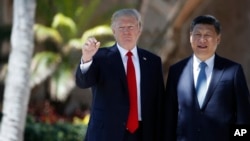 资料照片:特朗普在他的第一个总统任期期间与中国国家主席习近平在佛罗里达海湖庄园会晤。(2017年4月7日)