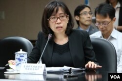 交通部民用航空局副局长何淑萍(美国之音杨明拍摄)