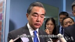 中国外交部长王毅 中国外交部长王毅