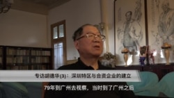 专访胡德华(3):倡导开放设置特区推动中外合资 专访胡德华(3):倡导开放设置特区推动中外合资