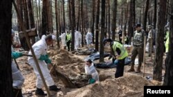 专家们在伊久姆的一处森林墓地进行挖掘工作(2022年9月18号)。