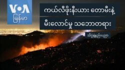 ကယ်လီဖိုးနီးယား တောမီးနဲ့ မီးလောင်မှု သဘောတရား
 ကယ်လီဖိုးနီးယား တောမီးနဲ့ မီးလောင်မှု သဘောတရား