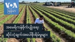 အမေရိကန်စိုက်ပျိုးရေး ဆိုင်းငံ့ချက်အပေါ်စိုးရိမ်မှုများ အမေရိကန်စိုက်ပျိုးရေး ဆိုင်းငံ့ချက်အပေါ်စိုးရိမ်မှုများ