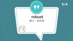 学个词--robust 学个词--robust