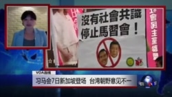 VOA连线:习马会7日新加坡登场 台湾朝野意见不一 VOA连线:习马会7日新加坡登场 台湾朝野意见不一