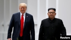 美国总统特朗普和朝鲜领导人金正恩在新加坡举行美朝峰会期间并肩行走。(2018年6月12日)
