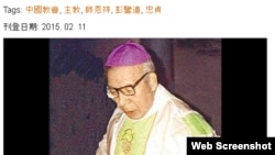 师恩祥主教(网络截频)