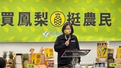 台湾新国安团队上任 迎来凤梨被禁难题 台湾新国安团队上任 迎来凤梨被禁难题