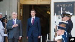 美国国防部长马蒂斯(左)在欢迎英国国防大臣威廉姆森(右)访问五角大楼的仪式上