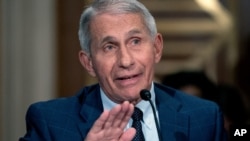 美国顶级传染病专家安东尼·弗契(Anthony Fauci)医生。