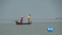 ကိုဗစ်ကြောင့် ဧရာဝတီလင်းပိုင်းစောင့်ရှောက်ရေး ထိခိုက် ကိုဗစ်ကြောင့် ဧရာဝတီလင်းပိုင်းစောင့်ရှောက်ရေး ထိခိုက်