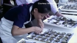 牡蛎复出纽约大南湾 牡蛎复出纽约大南湾