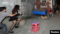 在福建泉州一次扫黄行动中,便衣警察向一名女子扑去。(2011年11月29日)
