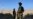 Đánh bom tự sát nhắm vào xe buýt của quân đội Afghanistan