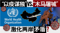 海峡论谈:“木马屠城” vs. “以疫谋独” 武汉肺炎激化两岸矛盾? 海峡论谈:“木马屠城” vs. “以疫谋独” 武汉肺炎激化两岸矛盾?